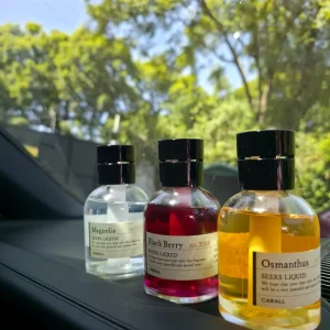 Premium Carall Seeks Liquid High-Class Car Air Freshener(available in magnolia, black berry and osmanthus)-1 piece